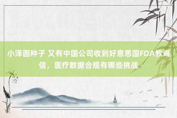 小泽圆种子 又有中国公司收到好意思国FDA教诲信，医疗数据合规有哪些挑战