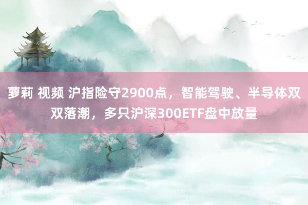 萝莉 视频 沪指险守2900点，智能驾驶、半导体双双落潮，多只沪深300ETF盘中放量