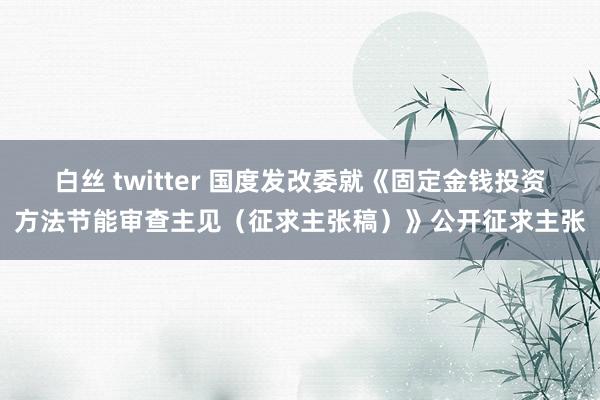 白丝 twitter 国度发改委就《固定金钱投资方法节能审查主见（征求主张稿）》公开征求主张