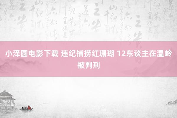 小泽圆电影下载 违纪捕捞红珊瑚 12东谈主在温岭被判刑