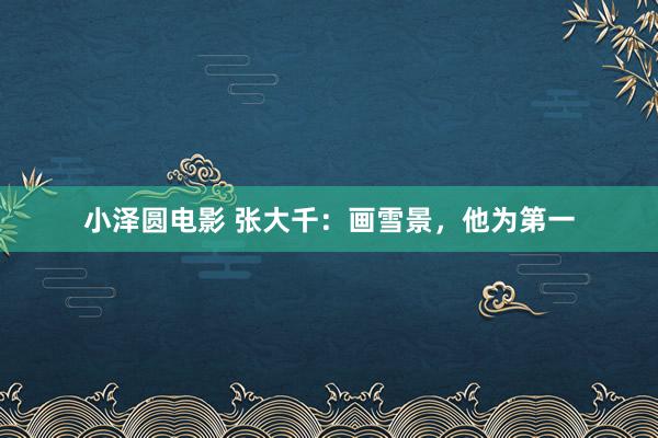 小泽圆电影 张大千：画雪景，他为第一