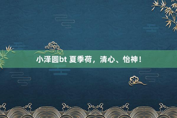 小泽圆bt 夏季荷，清心、怡神！