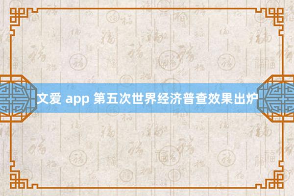 文爱 app 第五次世界经济普查效果出炉
