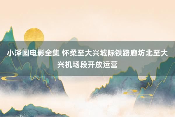 小泽圆电影全集 怀柔至大兴城际铁路廊坊北至大兴机场段开放运营