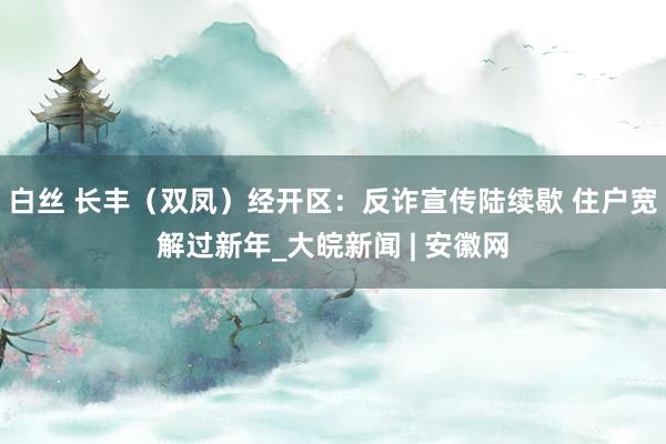 白丝 长丰（双凤）经开区：反诈宣传陆续歇 住户宽解过新年_大皖新闻 | 安徽网