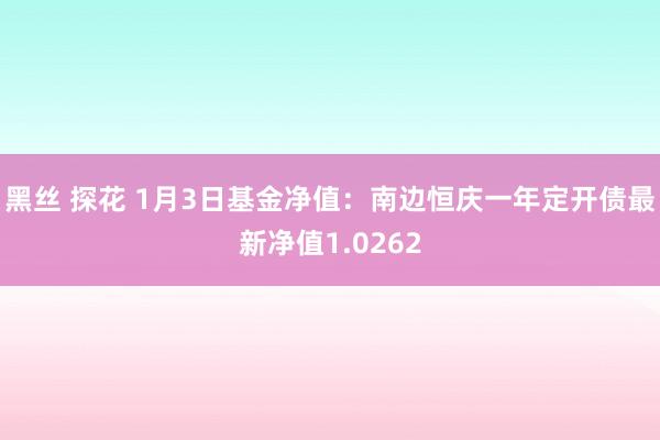 黑丝 探花 1月3日基金净值：南边恒庆一年定开债最新净值1.0262