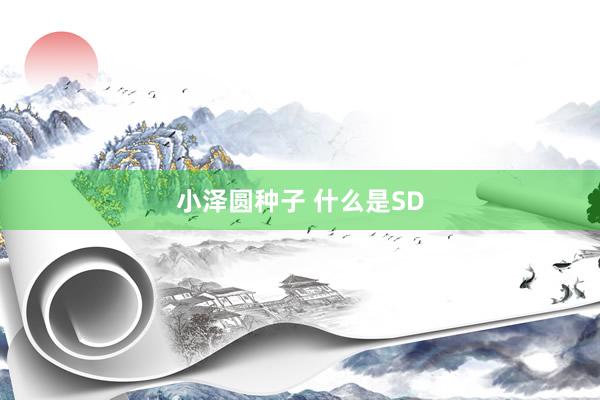 小泽圆种子 什么是SD