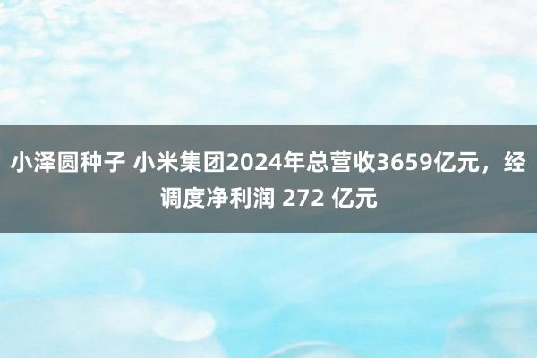 小泽圆种子 小米集团2024年总营收3659亿元，经调度净利润 272 亿元