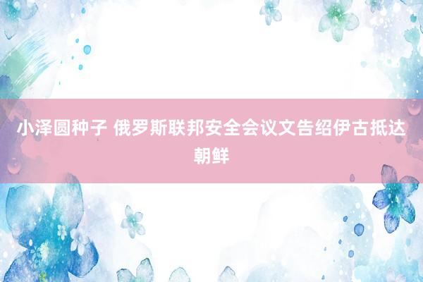 小泽圆种子 俄罗斯联邦安全会议文告绍伊古抵达朝鲜