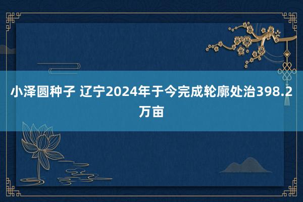 小泽圆种子 辽宁2024年于今完成轮廓处治398.2万亩