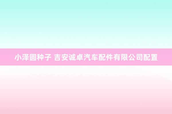 小泽圆种子 吉安诚卓汽车配件有限公司配置