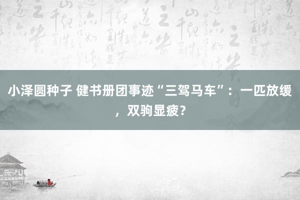 小泽圆种子 健书册团事迹“三驾马车”：一匹放缓，双驹显疲？