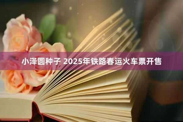 小泽圆种子 2025年铁路春运火车票开售
