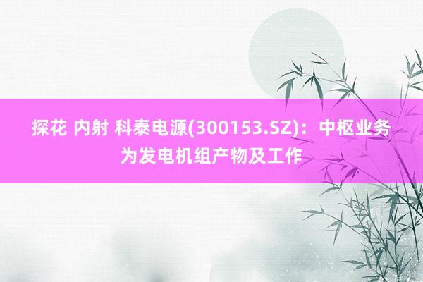 探花 内射 科泰电源(300153.SZ)：中枢业务为发电机组产物及工作
