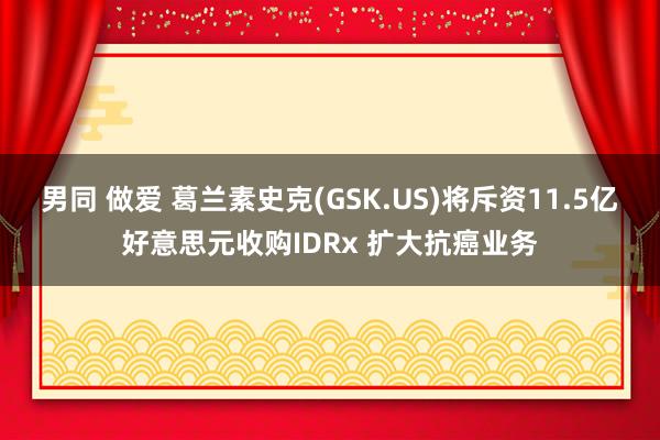 男同 做爱 葛兰素史克(GSK.US)将斥资11.5亿好意思元收购IDRx 扩大抗癌业务