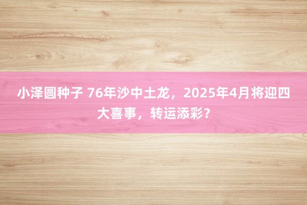 小泽圆种子 76年沙中土龙，2025年4月将迎四大喜事，转运添彩？
