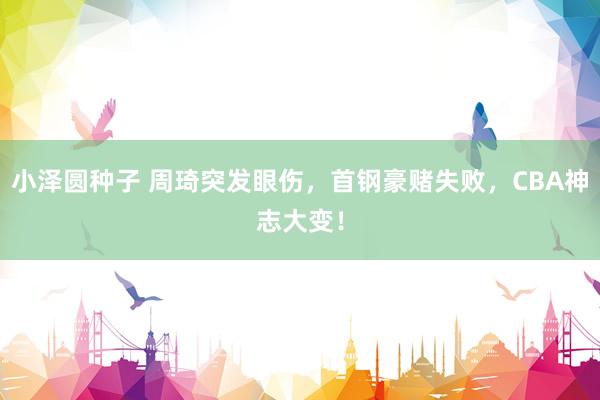 小泽圆种子 周琦突发眼伤，首钢豪赌失败，CBA神志大变！