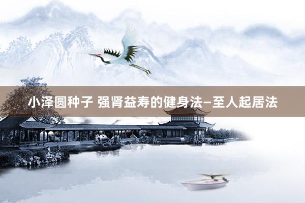 小泽圆种子 强肾益寿的健身法—至人起居法