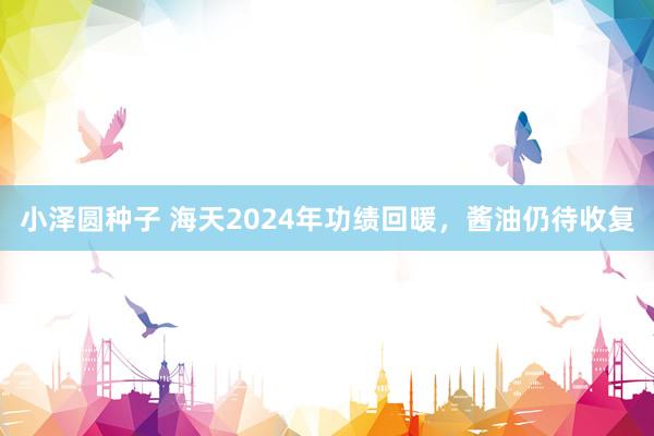 小泽圆种子 海天2024年功绩回暖，酱油仍待收复
