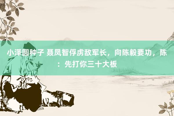 小泽圆种子 聂凤智俘虏敌军长，向陈毅要功，陈：先打你三十大板
