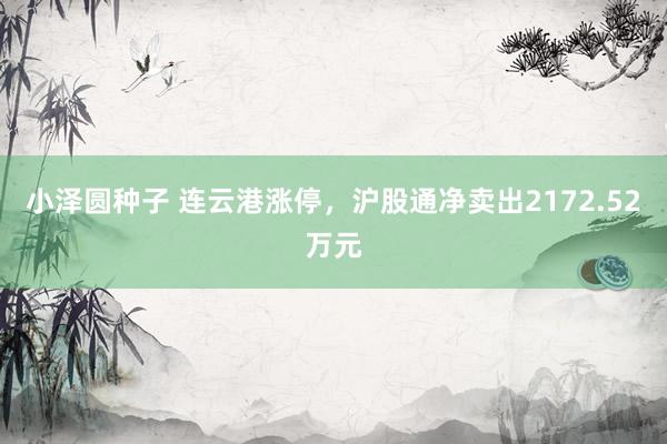小泽圆种子 连云港涨停，沪股通净卖出2172.52万元