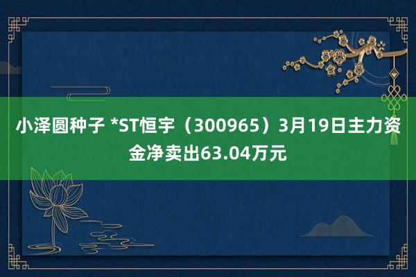 小泽圆种子 *ST恒宇（300965）3月19日主力资金净卖出63.04万元