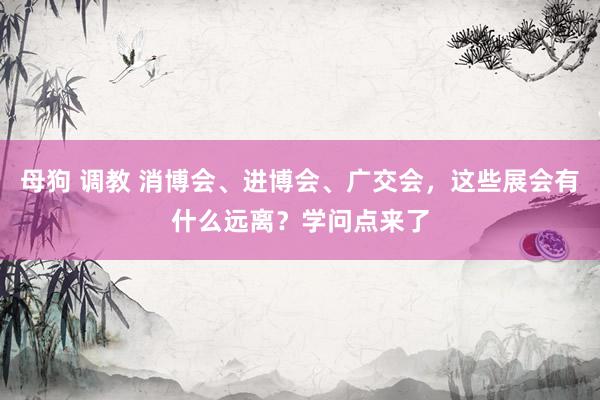 母狗 调教 消博会、进博会、广交会，这些展会有什么远离？学问点来了