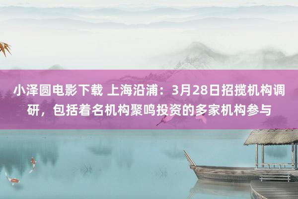 小泽圆电影下载 上海沿浦：3月28日招揽机构调研，包括着名机构聚鸣投资的多家机构参与