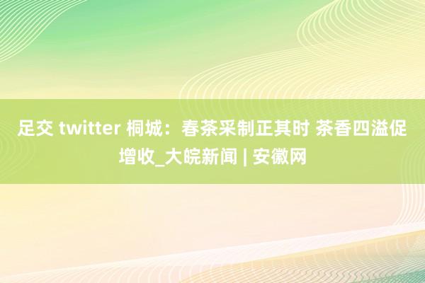 足交 twitter 桐城：春茶采制正其时 茶香四溢促增收_大皖新闻 | 安徽网
