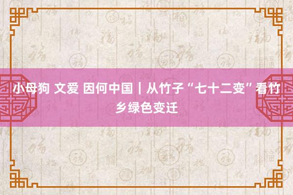 小母狗 文爱 因何中国｜从竹子“七十二变”看竹乡绿色变迁