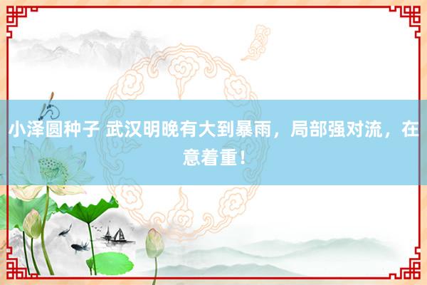 小泽圆种子 武汉明晚有大到暴雨，局部强对流，在意着重！
