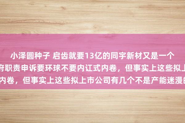 小泽圆种子 启齿就要13亿的同宇新材又是一个产能迷漫方式，本年政府职责申诉要环球不要内讧式内卷，但事实上这些拟上市公司有几个不是产能迷漫的？