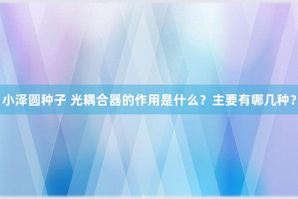 小泽圆种子 光耦合器的作用是什么？主要有哪几种？