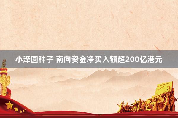 小泽圆种子 南向资金净买入额超200亿港元