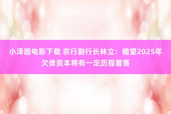 小泽圆电影下载 农行副行长林立：瞻望2025年欠债资本将有一定历程着落