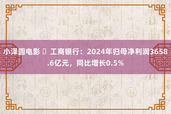 小泽圆电影 ​工商银行：2024年归母净利润3658.6亿元，同比增长0.5%