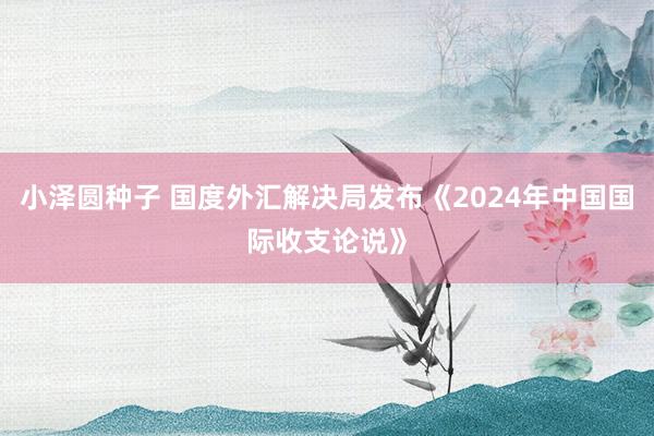 小泽圆种子 国度外汇解决局发布《2024年中国国际收支论说》