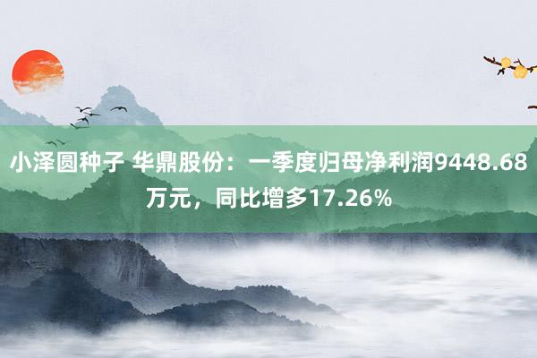 小泽圆种子 华鼎股份：一季度归母净利润9448.68万元，同比增多17.26%