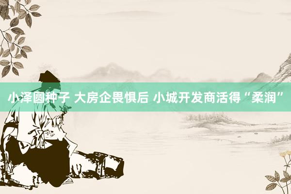 小泽圆种子 大房企畏惧后 小城开发商活得“柔润”